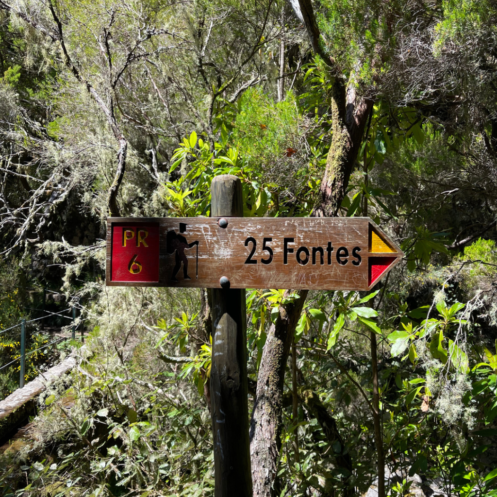 madeira hikes